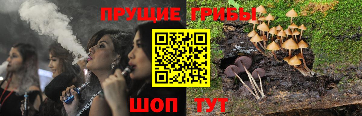 Галлюциногенные грибы мицелий Калининград