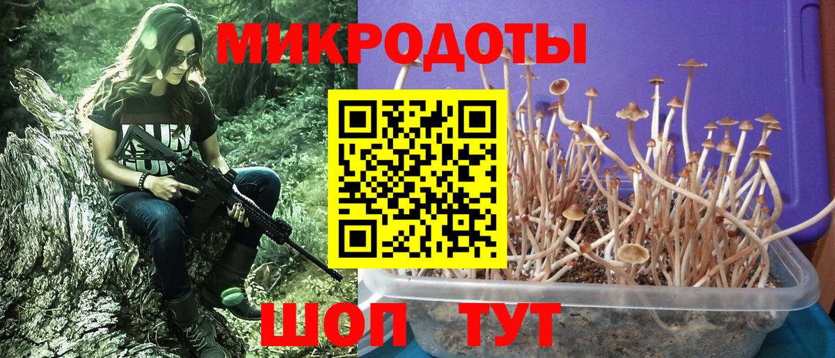 Псилоцибиновые грибы мухоморы  Вход с VPN  Калининград 